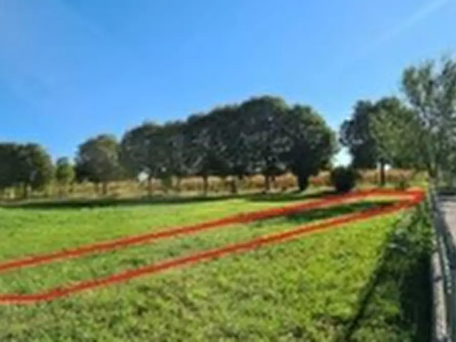 Immagine 1 di Terreno agricolo in vendita  in Via Borromea a Rosà