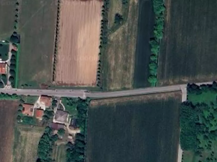 Immagine 9 di Terreno agricolo in vendita  in Via Borromea a Rosà
