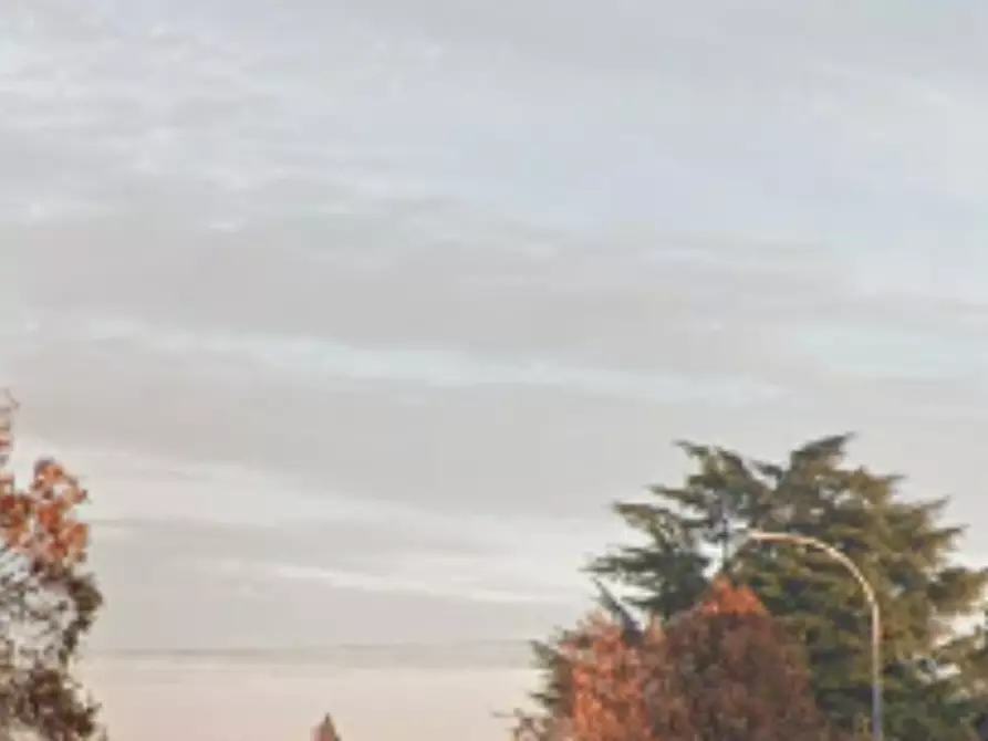 Immagine 8 di Terreno agricolo in vendita  in Via Marconi a Inzago