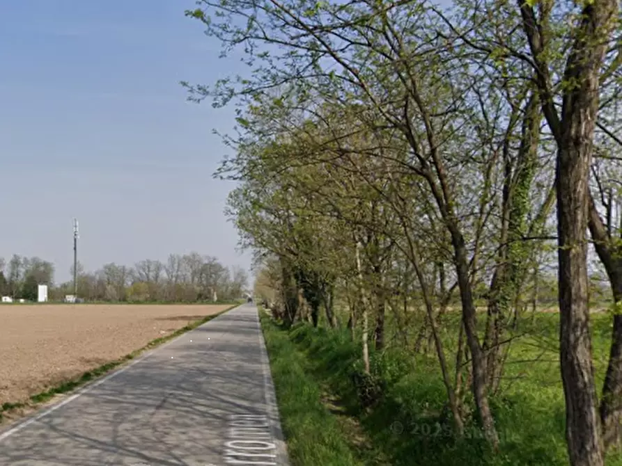 Immagine 7 di Terreno agricolo in vendita  in Via Mazzini  a Cartigliano
