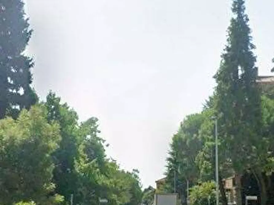 Immagine 6 di Appartamento in vendita  in Via Padre Reginaldo Giuliani a Legnano