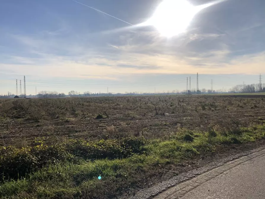 Immagine 3 di Terreno agricolo in vendita  in Via Francesco Guarnerio a Trezzo Sull'adda