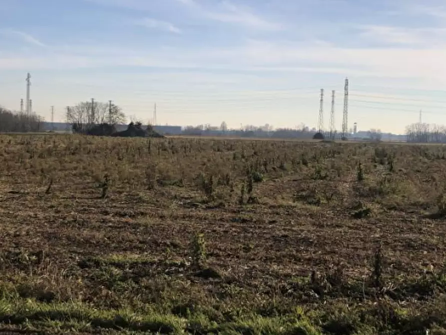 Immagine 5 di Terreno agricolo in vendita  in Via Francesco Guarnerio a Trezzo Sull'adda