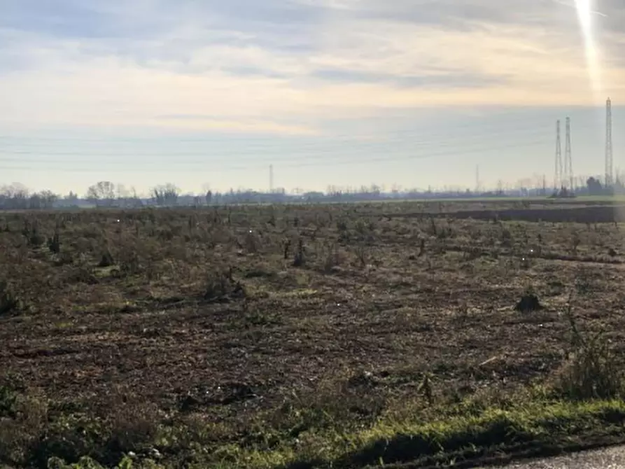 Immagine 6 di Terreno agricolo in vendita  in Via Francesco Guarnerio a Trezzo Sull'adda
