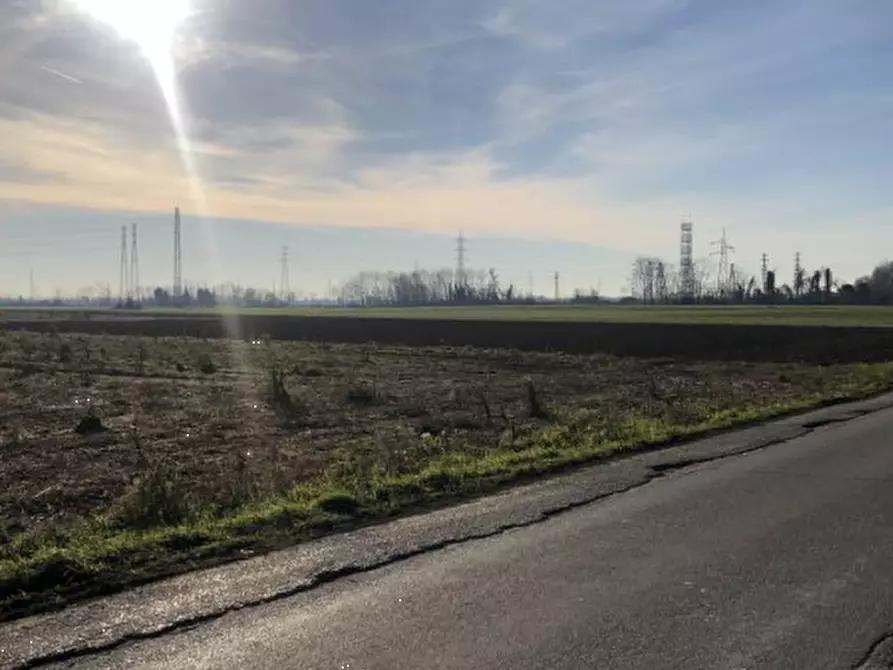 Immagine 8 di Terreno agricolo in vendita  in Via Francesco Guarnerio a Trezzo Sull'adda