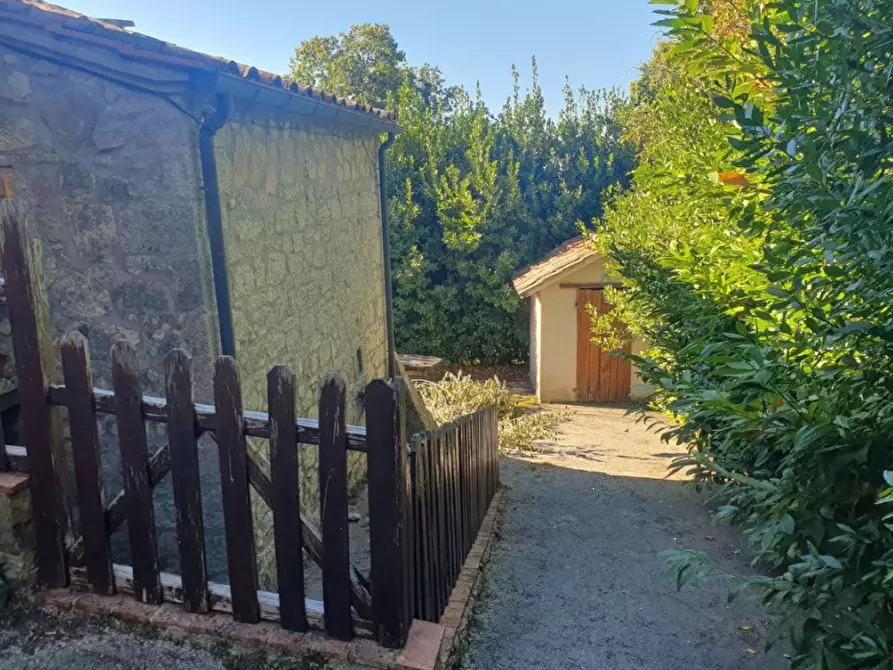 Immagine 3 di Appartamento in vendita  in Via Abbadia a Santa Fiora