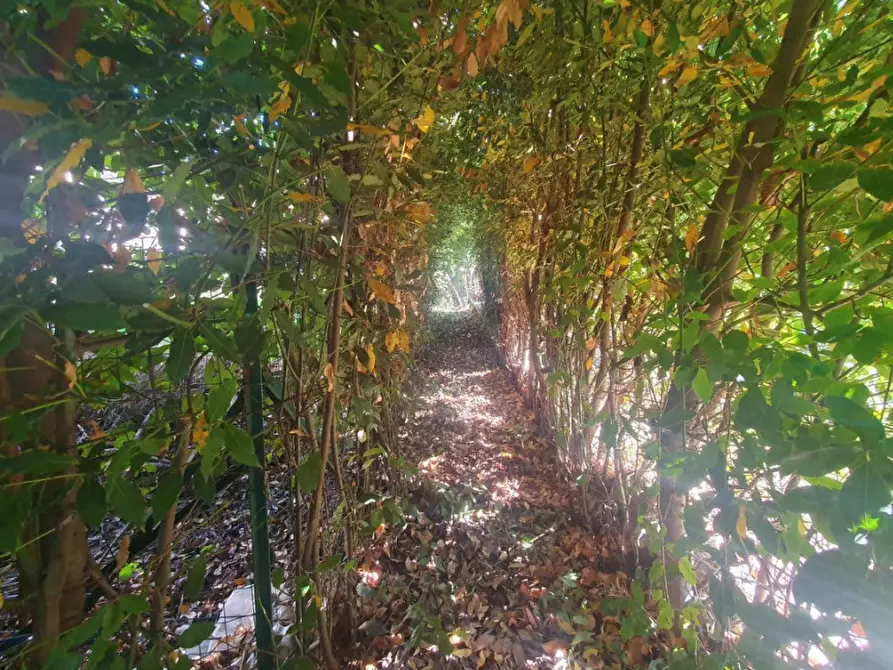 Immagine 7 di Appartamento in vendita  in Via Abbadia a Santa Fiora