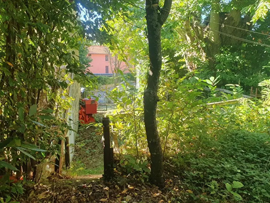 Immagine 8 di Appartamento in vendita  in Via Abbadia a Santa Fiora