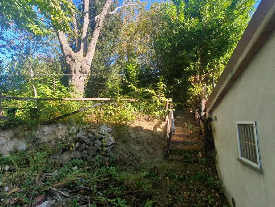 Immagine 9 di Appartamento in vendita  in Via Abbadia a Santa Fiora