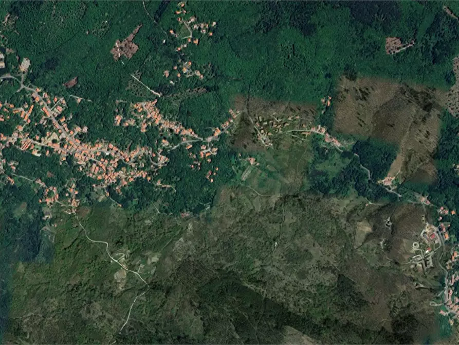 Immagine 16 di Appartamento in vendita  in Via Abbadia a Santa Fiora