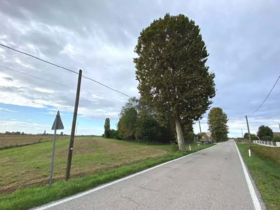 Immagine 2 di Terreno agricolo in vendita  in Via Pontelongo a Candiana