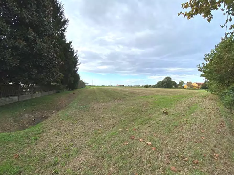 Immagine 1 di Terreno agricolo in vendita  in Via Pontelongo a Candiana