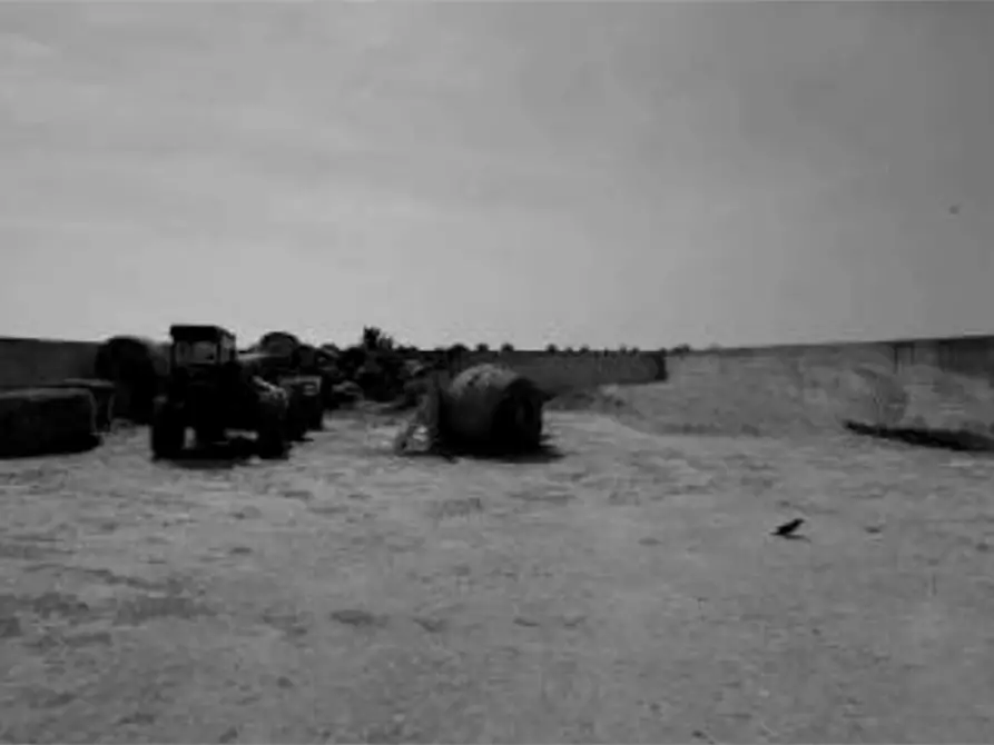 Immagine 3 di Capannone industriale in vendita  in Via Olmo a Gazzo Veronese