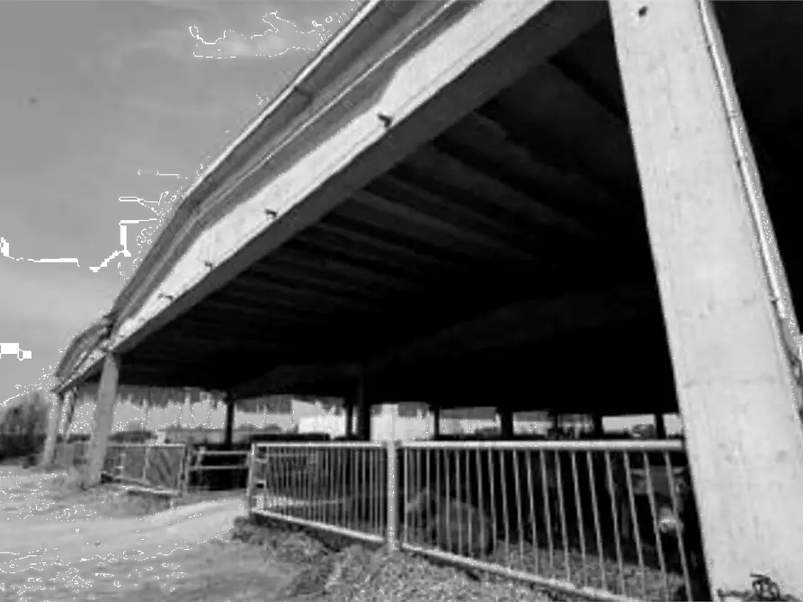 Immagine 4 di Capannone industriale in vendita  in Via Olmo a Gazzo Veronese