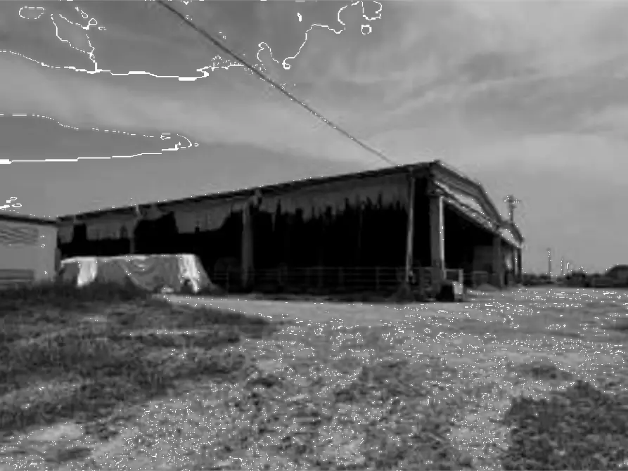 Immagine 5 di Capannone industriale in vendita  in Via Olmo a Gazzo Veronese