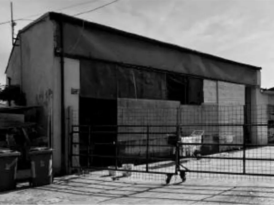 Immagine 6 di Capannone industriale in vendita  in Via Olmo a Gazzo Veronese