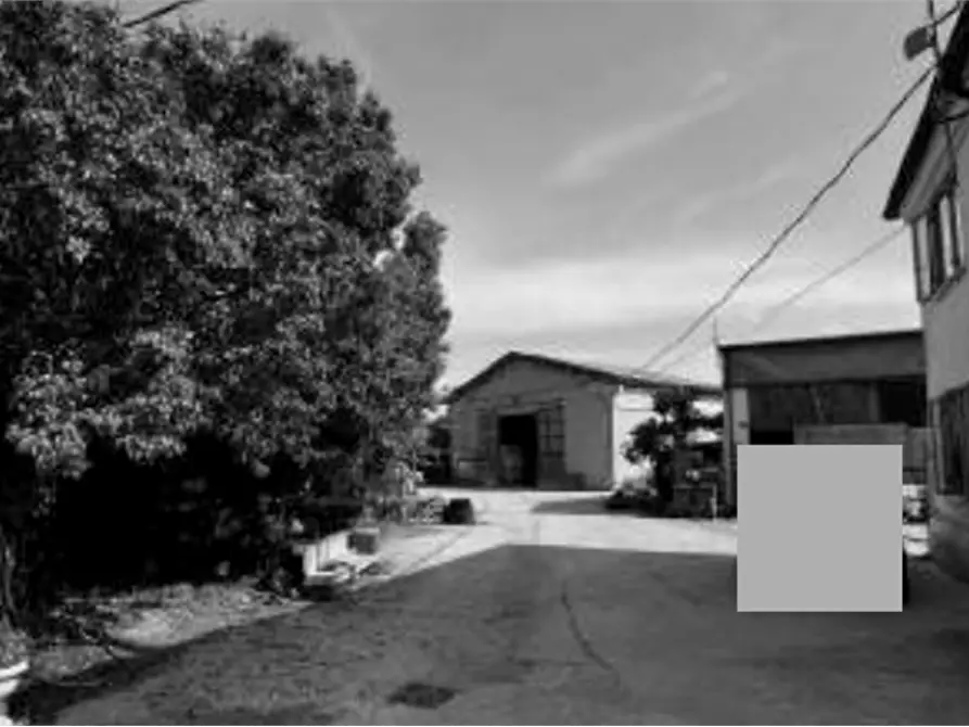 Immagine 7 di Capannone industriale in vendita  in Via Olmo a Gazzo Veronese