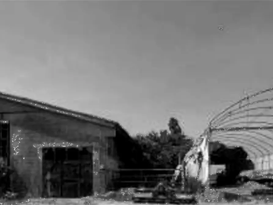 Immagine 10 di Capannone industriale in vendita  in Via Olmo a Gazzo Veronese