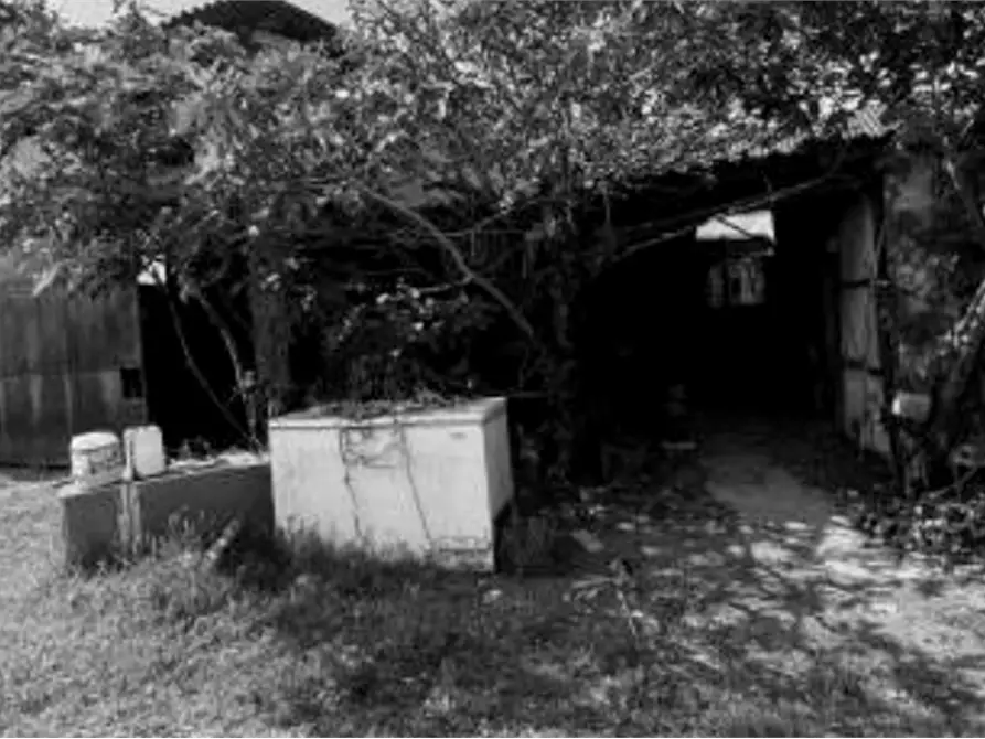 Immagine 12 di Capannone industriale in vendita  in Via Olmo a Gazzo Veronese