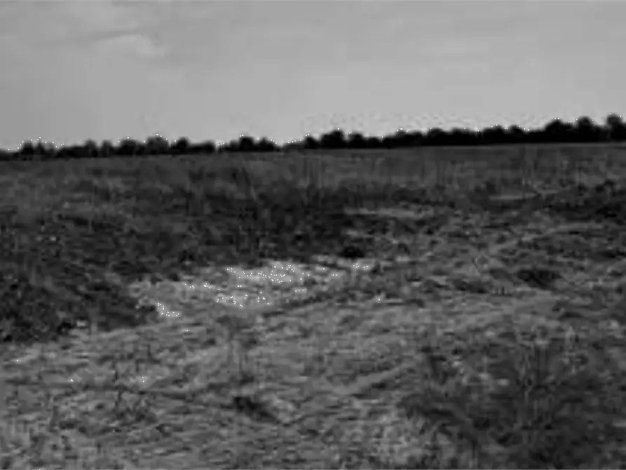 Immagine 15 di Capannone industriale in vendita  in Via Olmo a Gazzo Veronese