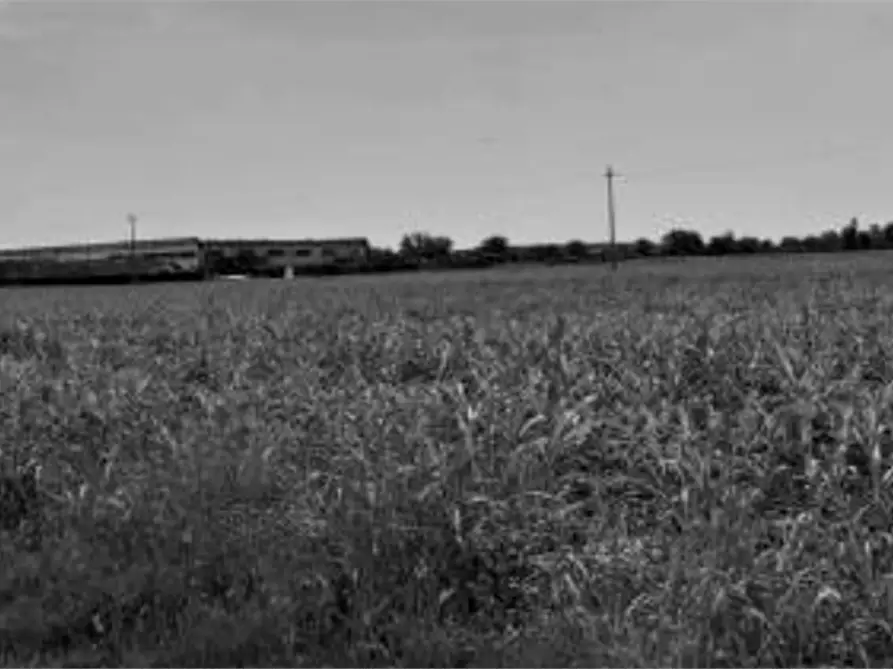 Immagine 16 di Capannone industriale in vendita  in Via Olmo a Gazzo Veronese