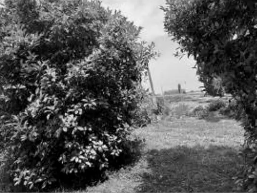 Immagine 17 di Capannone industriale in vendita  in Via Olmo a Gazzo Veronese