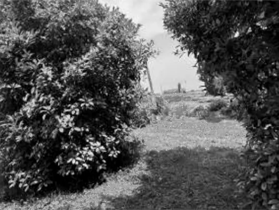 Immagine 18 di Capannone industriale in vendita  in Via Olmo a Gazzo Veronese