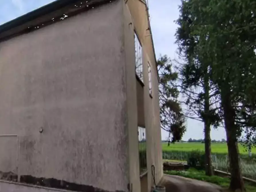 Immagine 15 di Porzione di casa in vendita  in Via Spin a Nogara