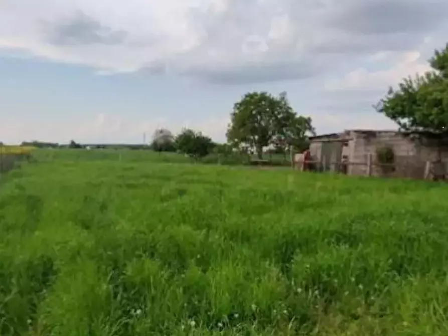 Immagine 16 di Porzione di casa in vendita  in Via Spin a Nogara