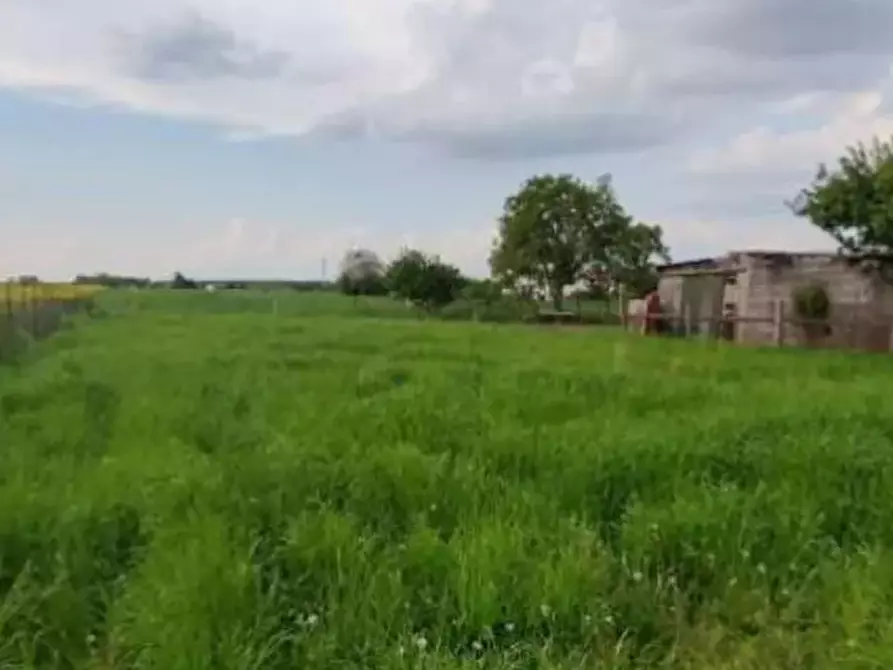 Immagine 17 di Porzione di casa in vendita  in Via Spin a Nogara