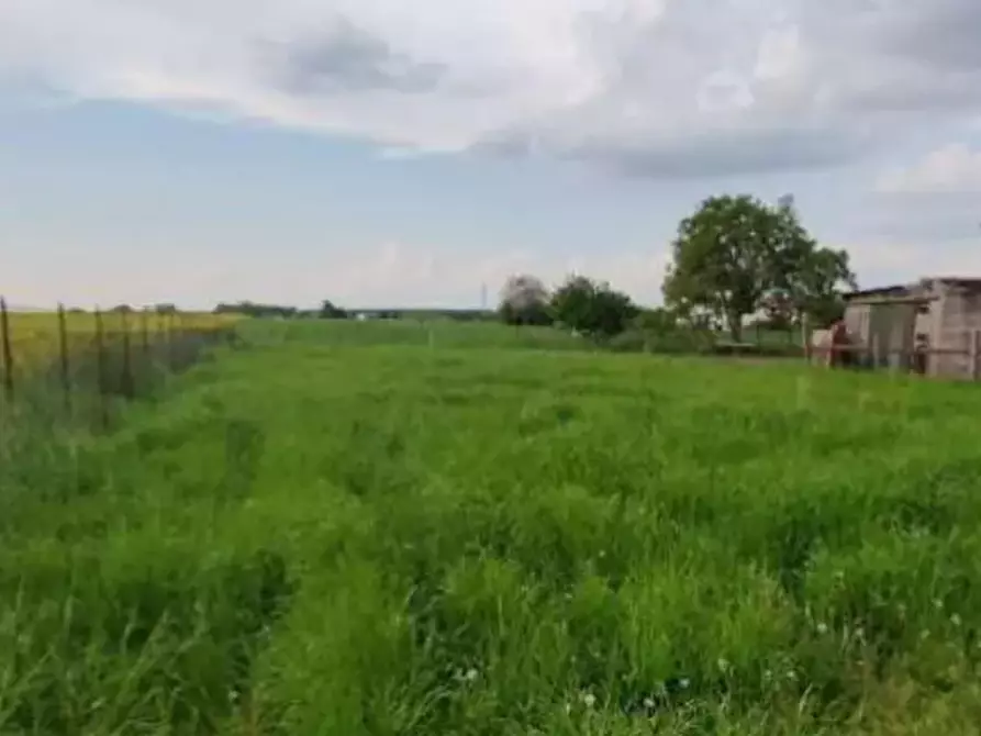 Immagine 18 di Porzione di casa in vendita  in Via Spin a Nogara