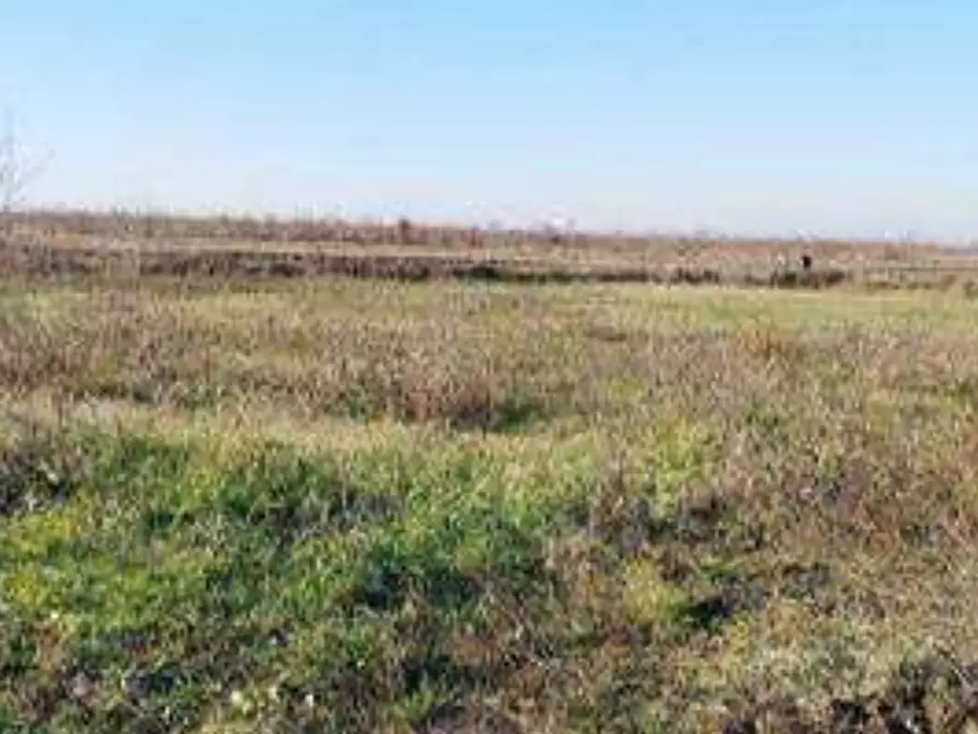 Immagine 1 di Terreno edificabile in vendita  in Via Valter Brunelli a Nogara