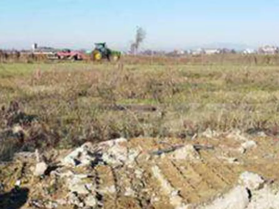 Immagine 3 di Terreno edificabile in vendita  in Via Valter Brunelli a Nogara