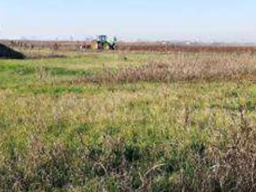 Immagine 5 di Terreno edificabile in vendita  in Via Valter Brunelli a Nogara