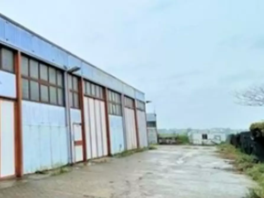 Immagine 12 di Capannone industriale in vendita  in Via Roma a Nogarole Rocca