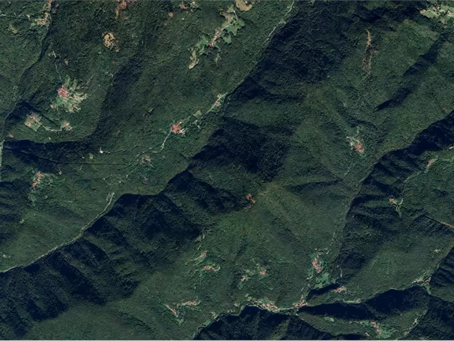 Immagine 3 di Stabile in vendita  in Frazione Cepletischis a Savogna