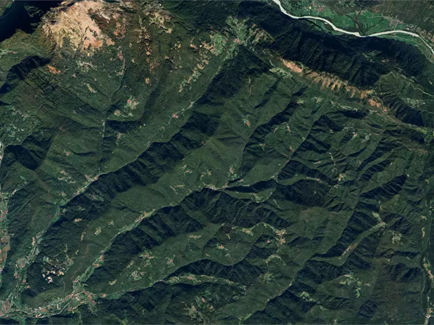 Immagine 4 di Stabile in vendita  in Frazione Cepletischis a Savogna