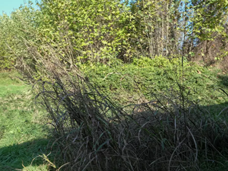 Immagine 1 di Terreno edificabile in vendita  in Via Soldone a Inzago