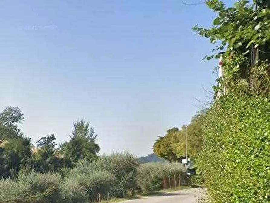 Immagine 4 di Terreno agricolo in vendita  in Via Marchetti a Marostica