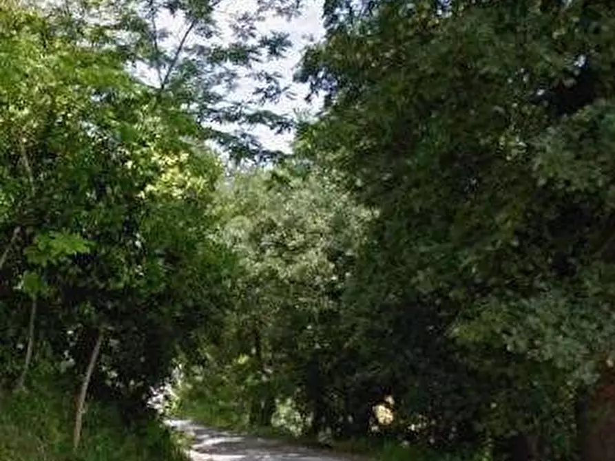 Immagine 7 di Porzione di casa in vendita  in Via del Mulino a Montottone