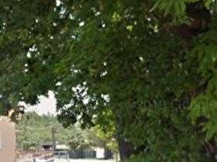 Immagine 8 di Porzione di casa in vendita  in Via del Mulino a Montottone