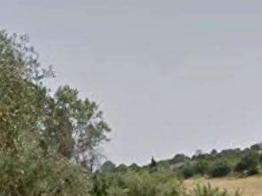 Immagine 3 di Appartamento in vendita  in Contrada Camera di Torre a Fermo