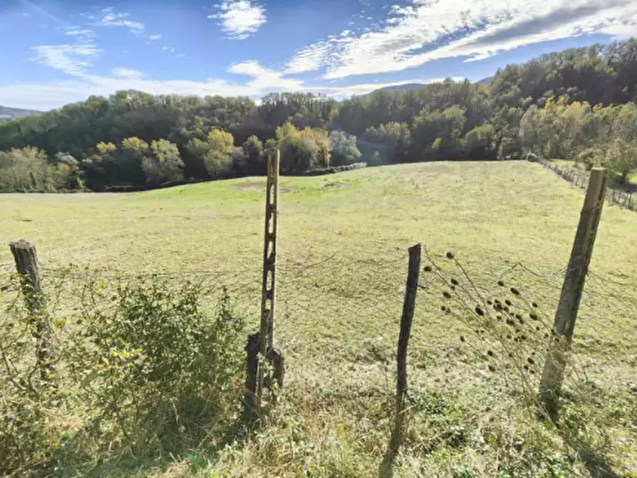 Immagine 2 di Capannone industriale in vendita  in Località Serraspinosa a Pergola