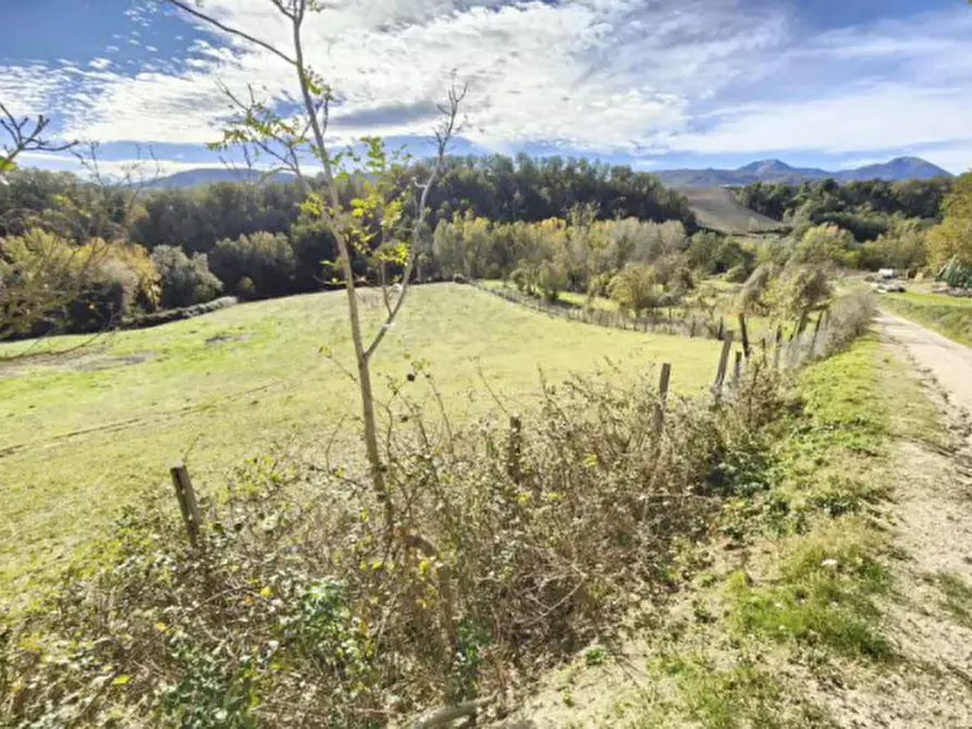 Immagine 4 di Capannone industriale in vendita  in Località Serraspinosa a Pergola