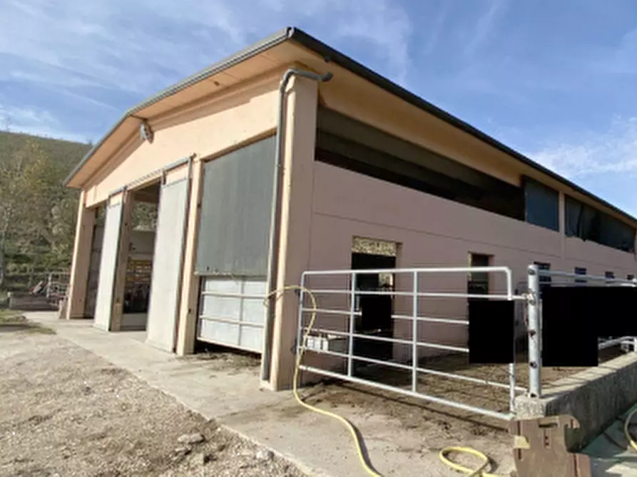 Immagine 14 di Capannone industriale in vendita  in Località Serraspinosa a Pergola