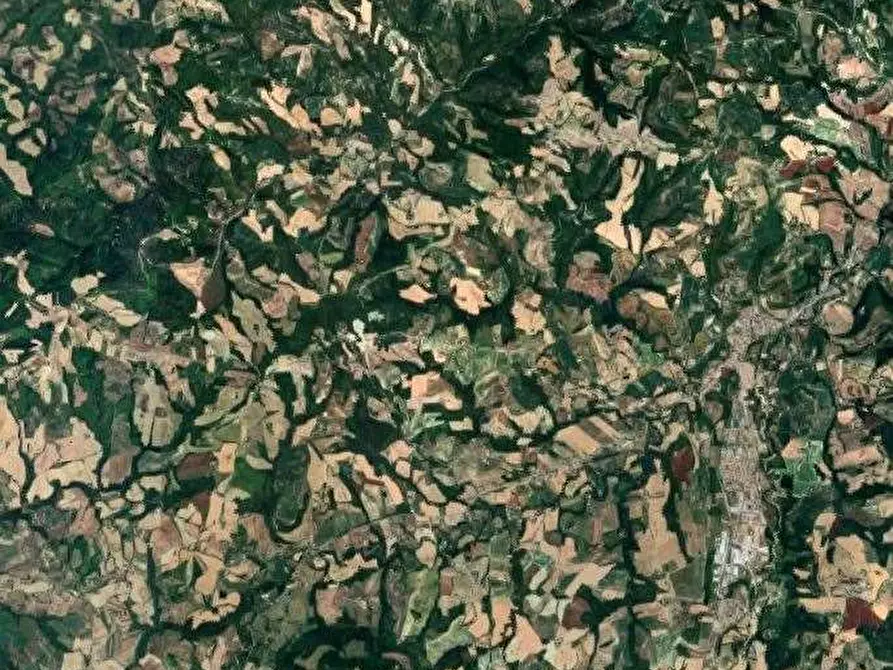 Immagine 10 di Magazzino in vendita  in Località Borghetto Fenigli a Pergola