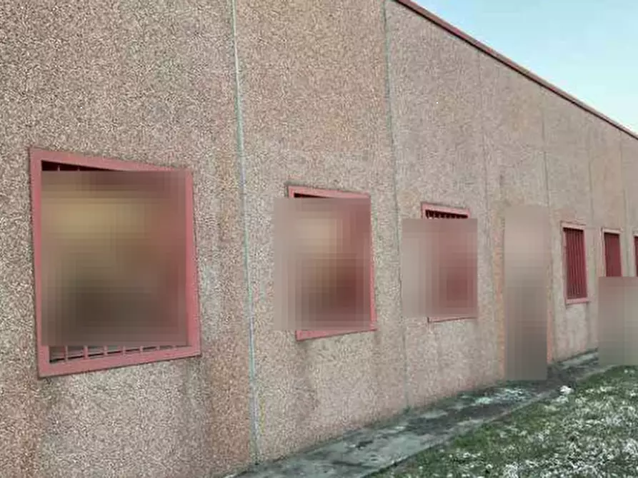 Immagine 5 di Capannone industriale in vendita  in Via del Lavoro  a Curtatone