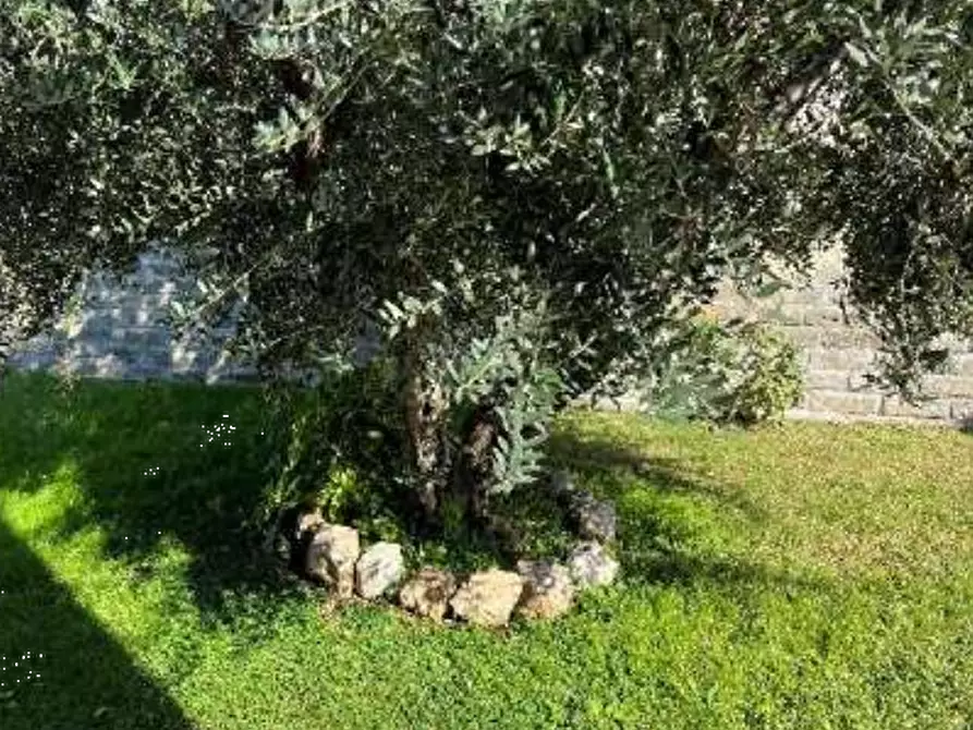 Immagine 5 di Casa indipendente in vendita  in Via Giovanni Gregorio Mendel a Roma