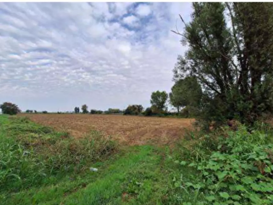 Immagine 1 di Terreno agricolo in vendita  in Strada Provinciale a Leno