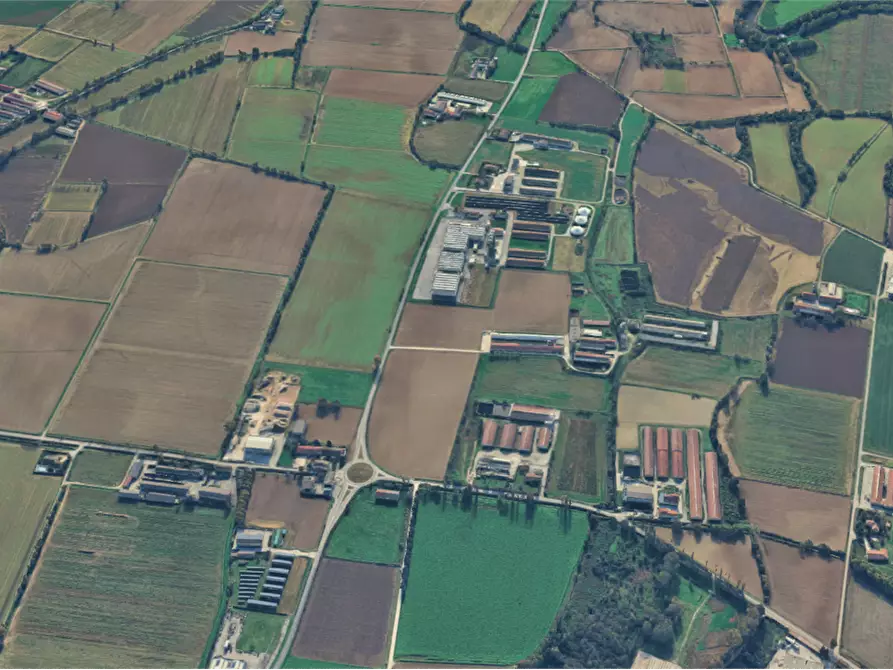 Immagine 8 di Terreno agricolo in vendita  in Strada Provinciale a Leno